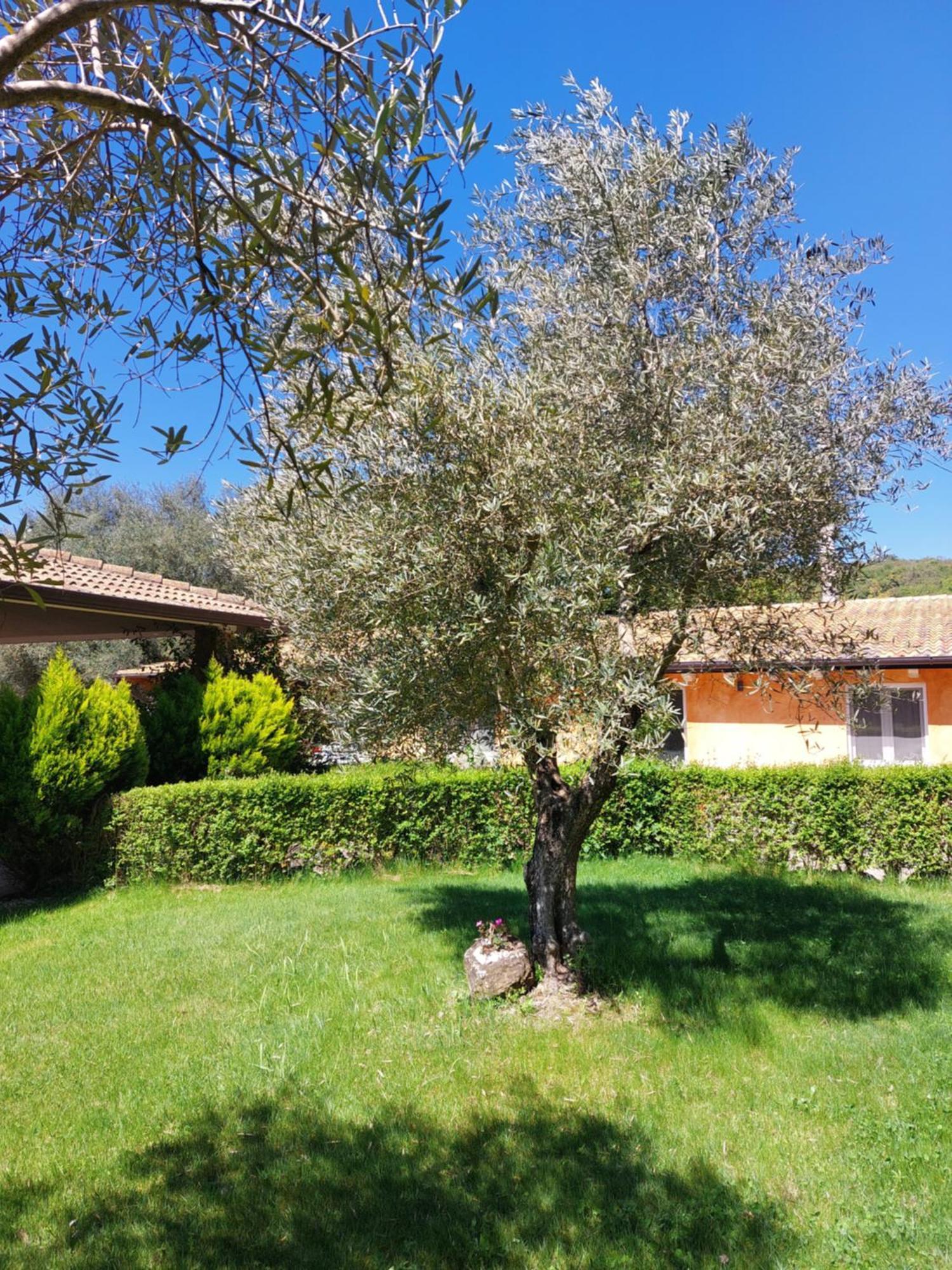 Casa Vacanza Centro Sardegna Sorgono Exterior photo